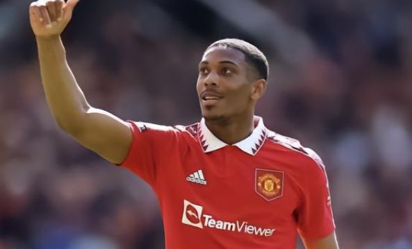 从这些案例 从这些案例